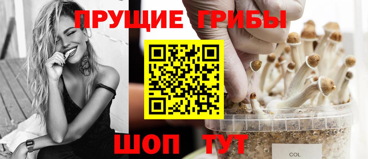 Галлюциногенные грибы мицелий Углич