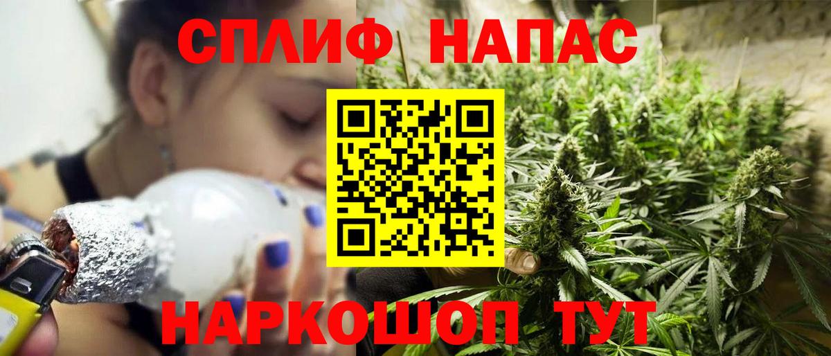 Канабис конопля Углич